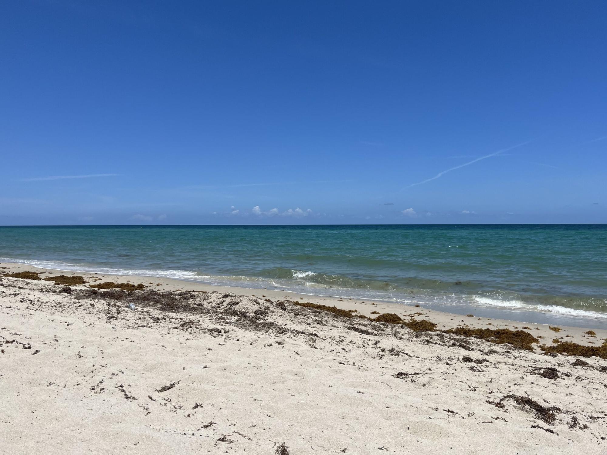 Sizzling Summer Skincare: The Rise of Cannabis Topicals for the Beach